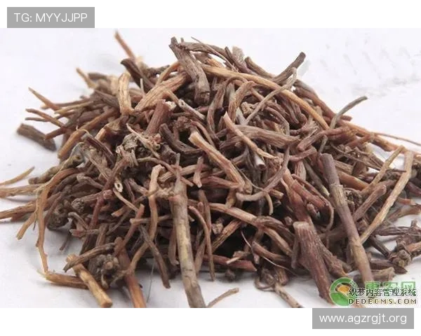 凯发旗舰厅官网首页网址最新更新,确保每位玩家都能顺利进入官方平台体验游戏 凯发旗舰厅官网首页网址最新更新,确保每位玩家都能顺利进入官方平台体验游戏