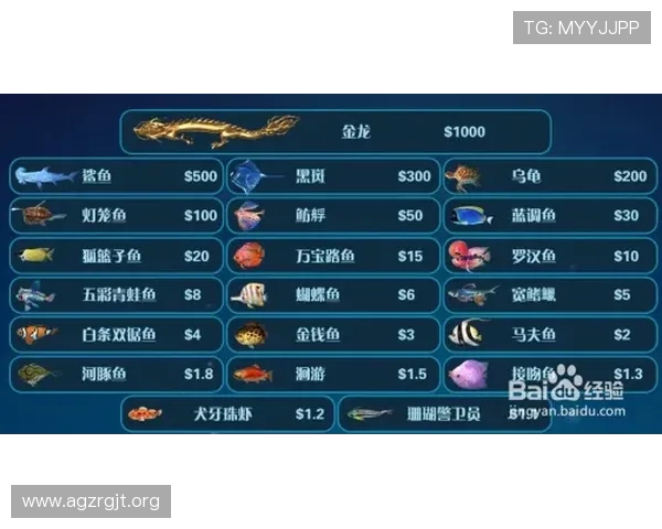 火爆ag视讯玩法玩法技巧总结提升你的游戏水平