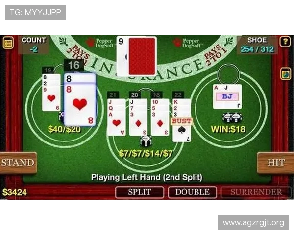 百家乐是什么：分析游戏的概率优势、风险控制以及合法合规的娱乐方式推荐